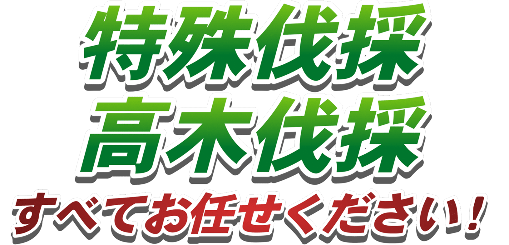高木伐採全てお任せください