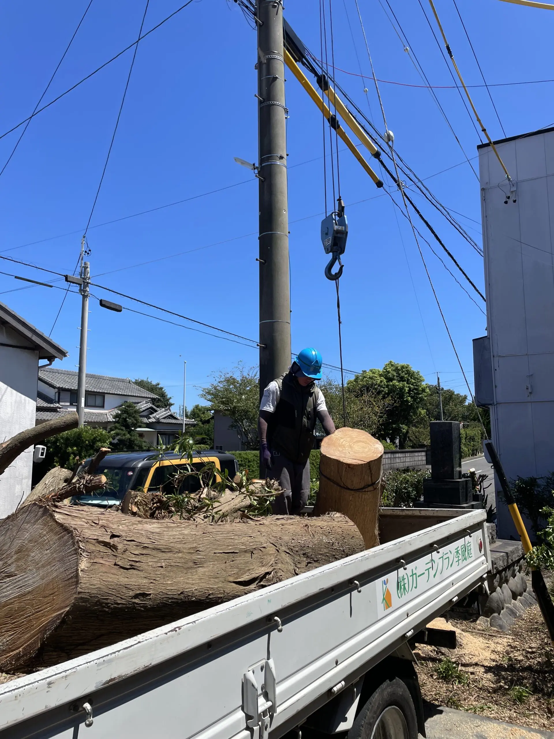 前橋市　伐採作業　（支障木の伐採） - After