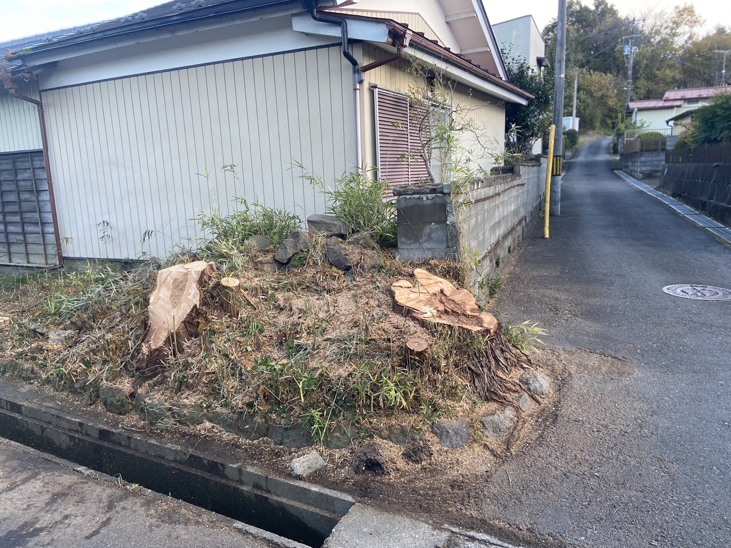 高崎市　伐採作業　（電線にかかった大木） - After