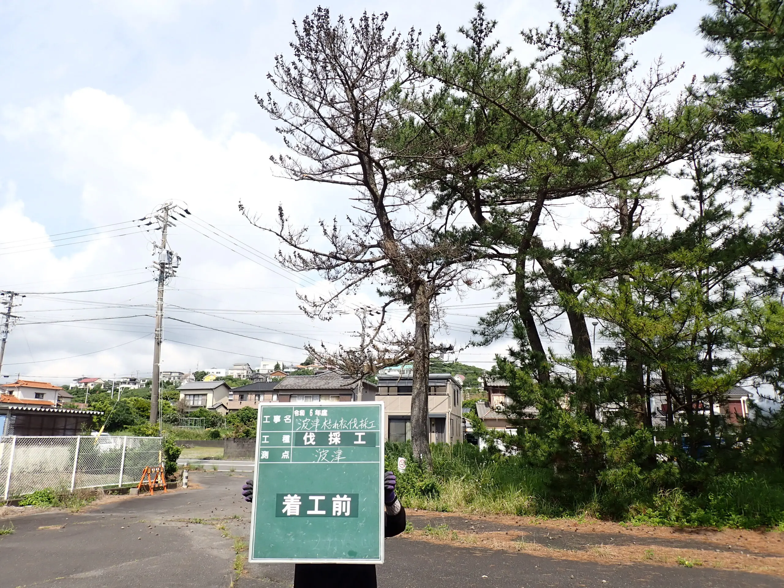 高崎市　伐採作業　（重機が使用できない高木伐採） - Before