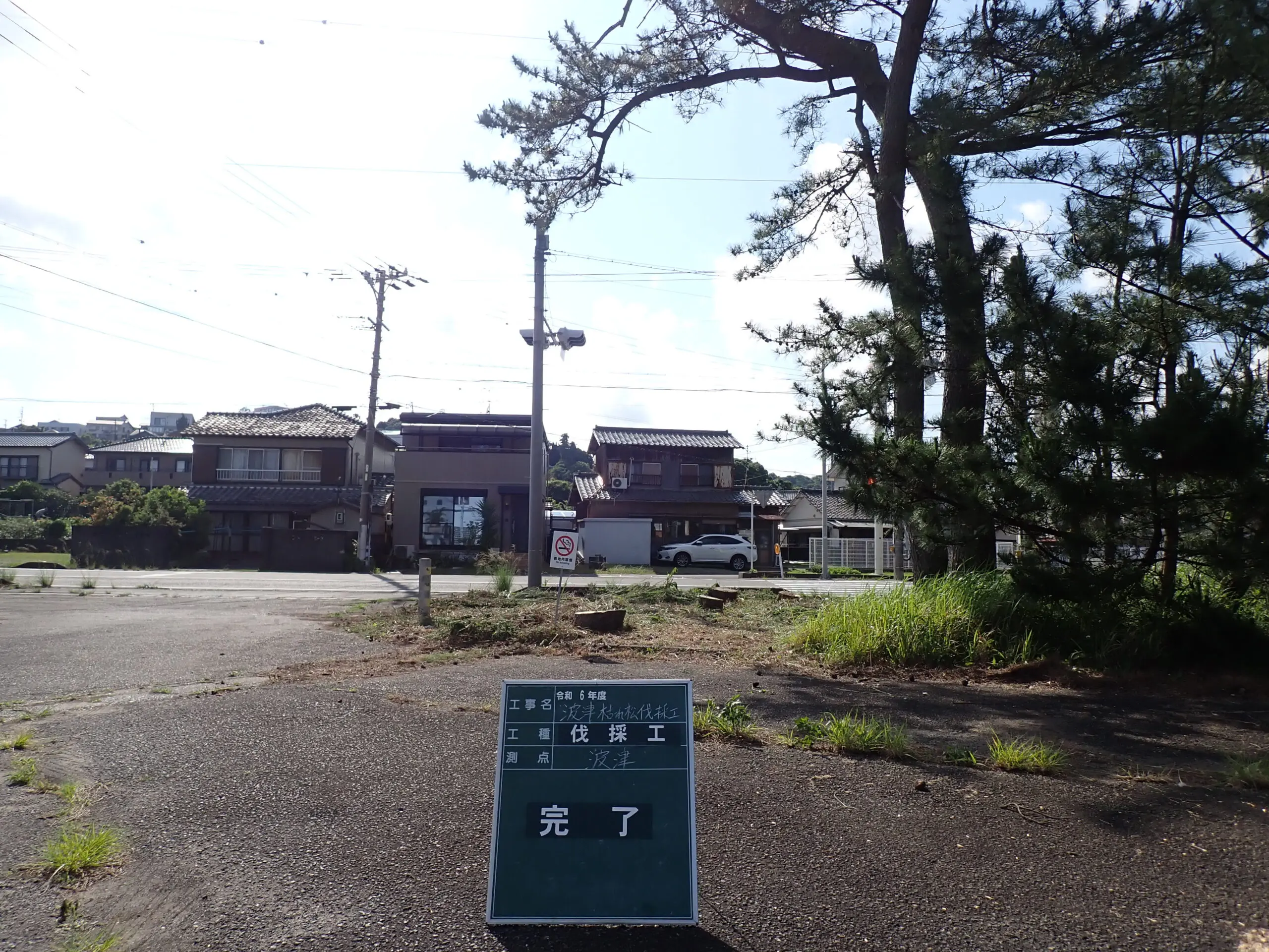 高崎市　伐採作業　（重機が使用できない高木伐採） - After