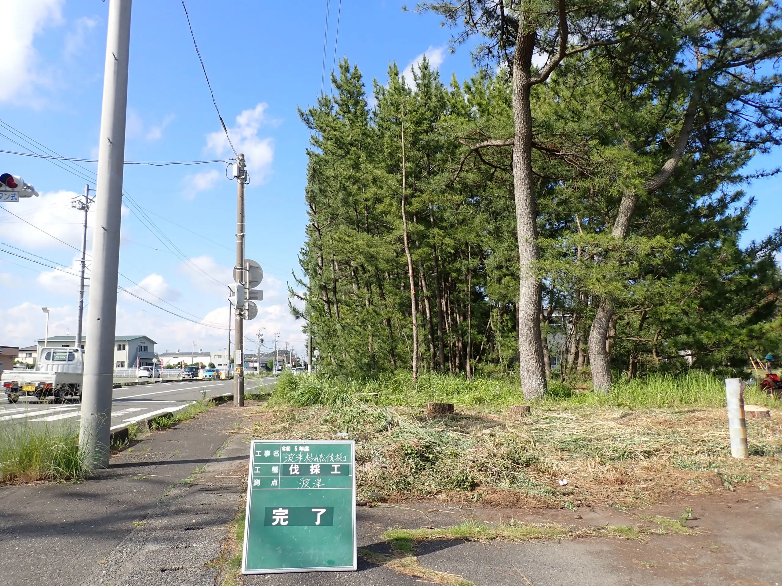 高崎市　伐採作業　（枯れた松の伐採） - After