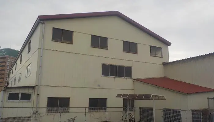 前橋市　伐採作業　（大木伐採） - After