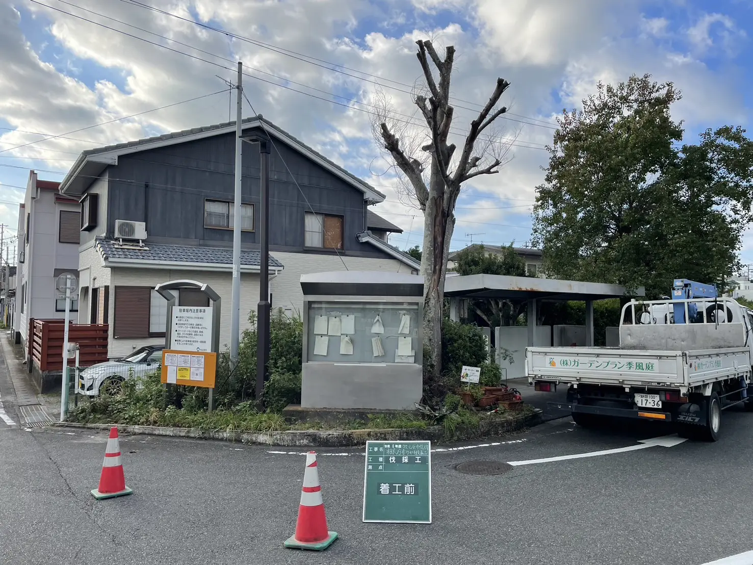 前橋市　伐採作業（枯れたケヤキの伐採） - Before