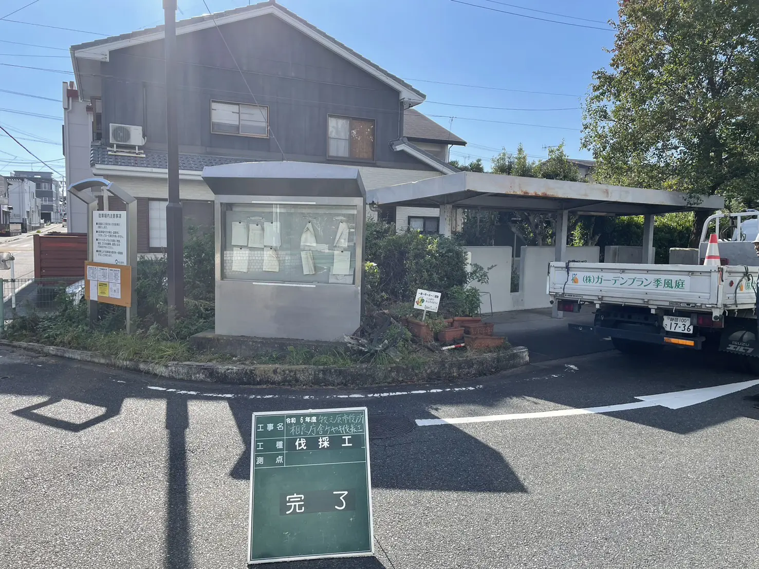 前橋市　伐採作業（枯れたケヤキの伐採） - After