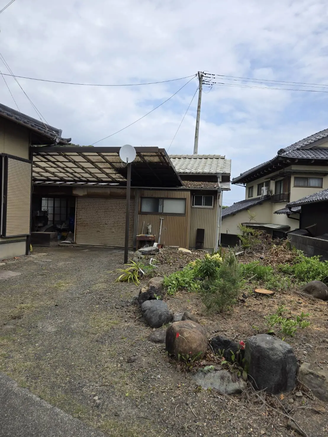 前橋市　伐採作業（モチノキの高木伐採） - After