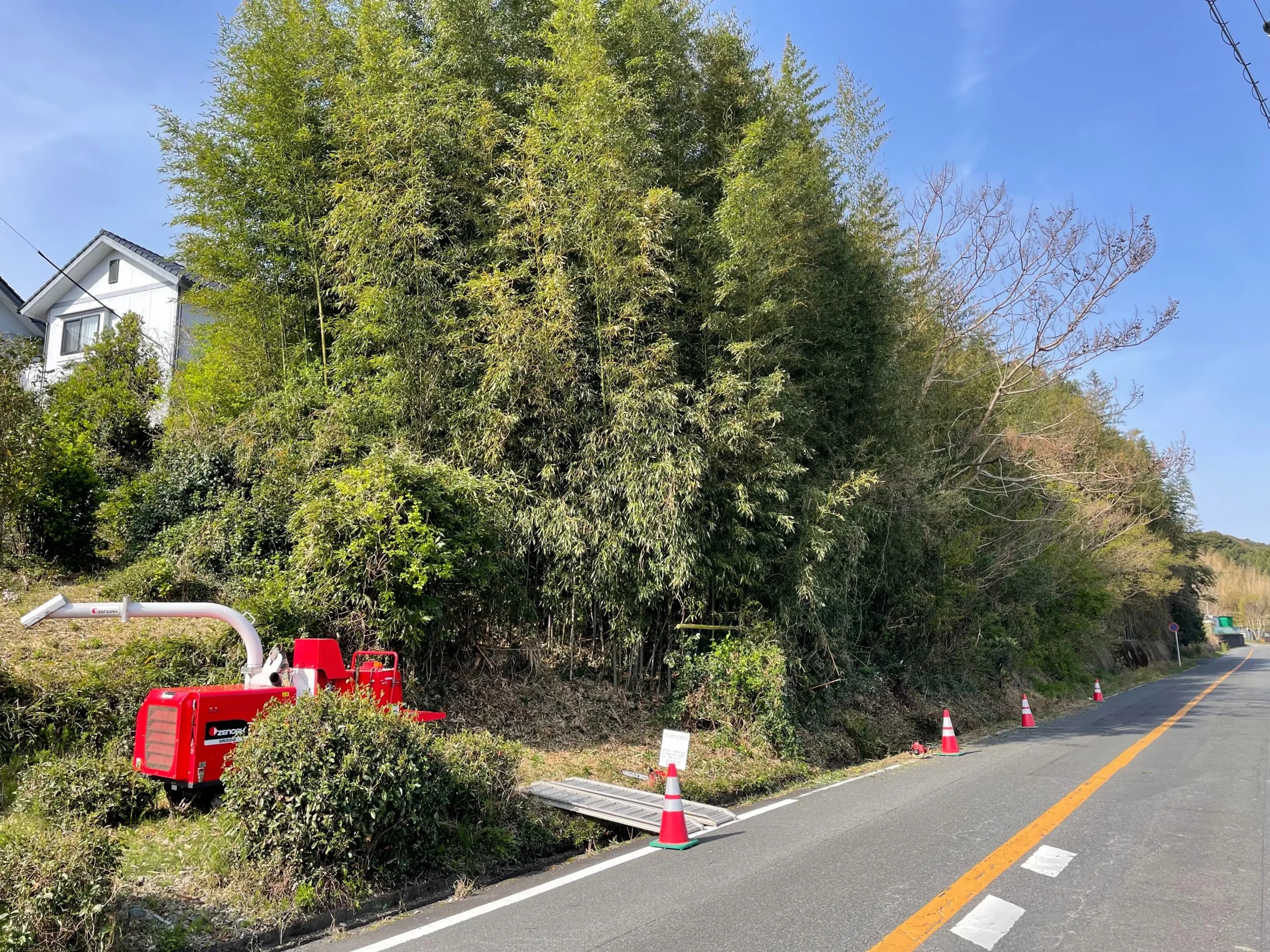 伊勢崎市　伐採作業（竹林の伐採） - Before