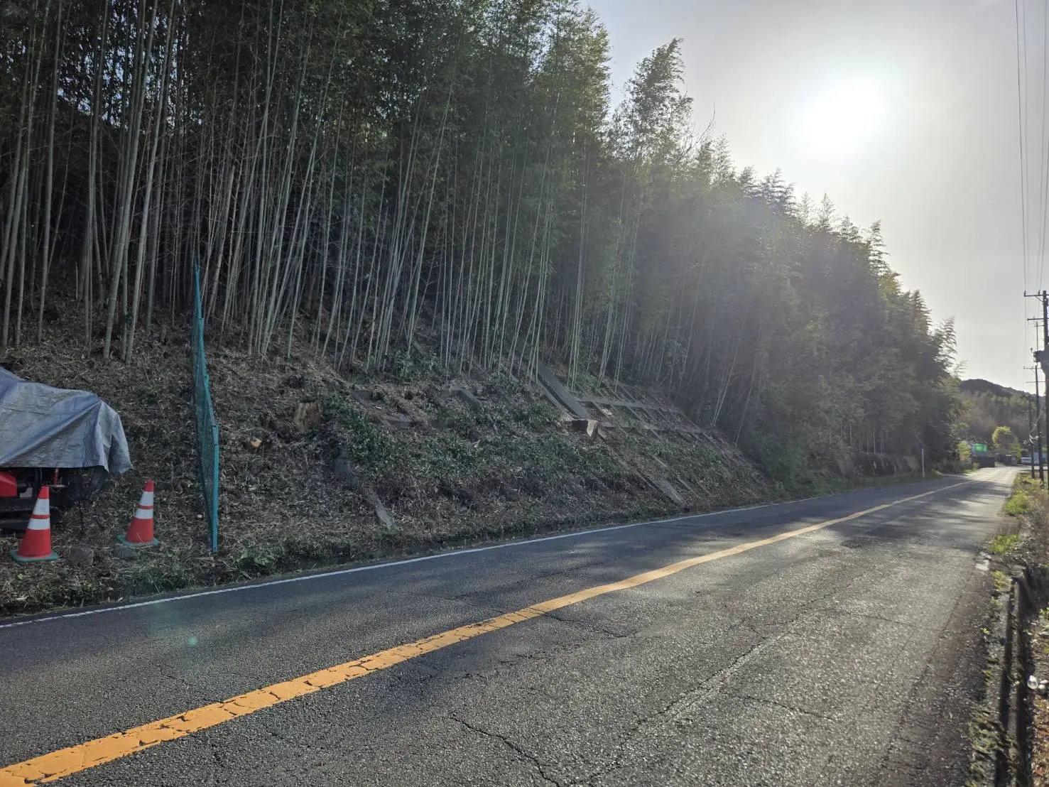 伊勢崎市　伐採作業（竹林の伐採） - After