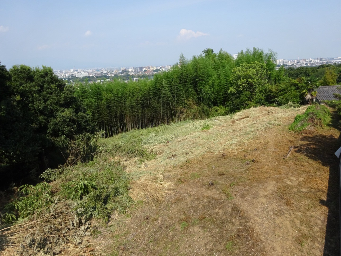 高崎市　伐採作業（約400坪の竹・篠伐採） - After