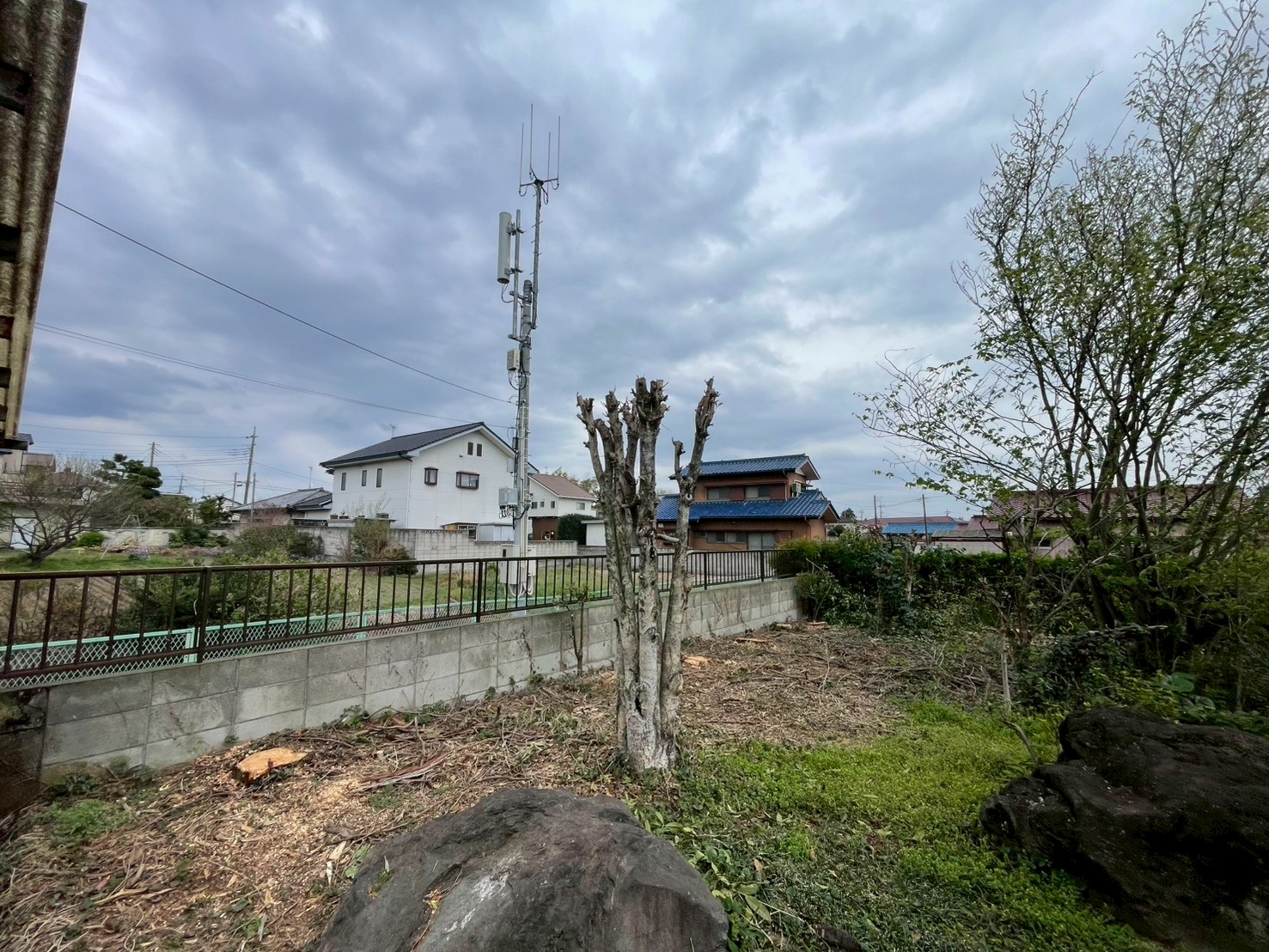 伊勢崎市　伐採作業（庭木伐採） - After