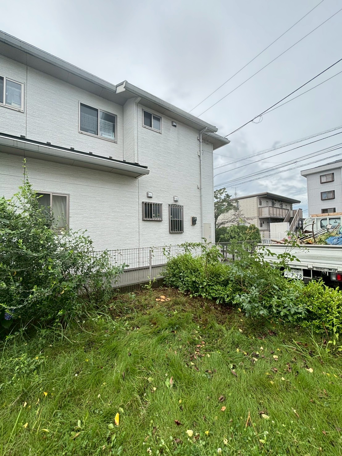 伊勢崎市　伐採作業（シマトネリコの庭木伐採） - After