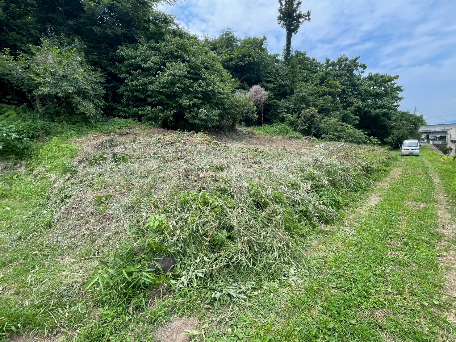 高崎市　伐採作業（樹木伐採） - After